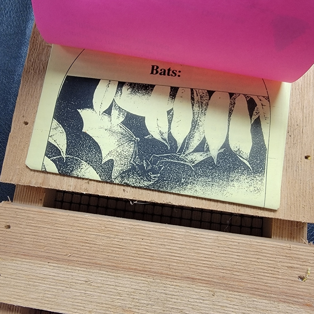 Mini Bat House - Picture 3 of 9